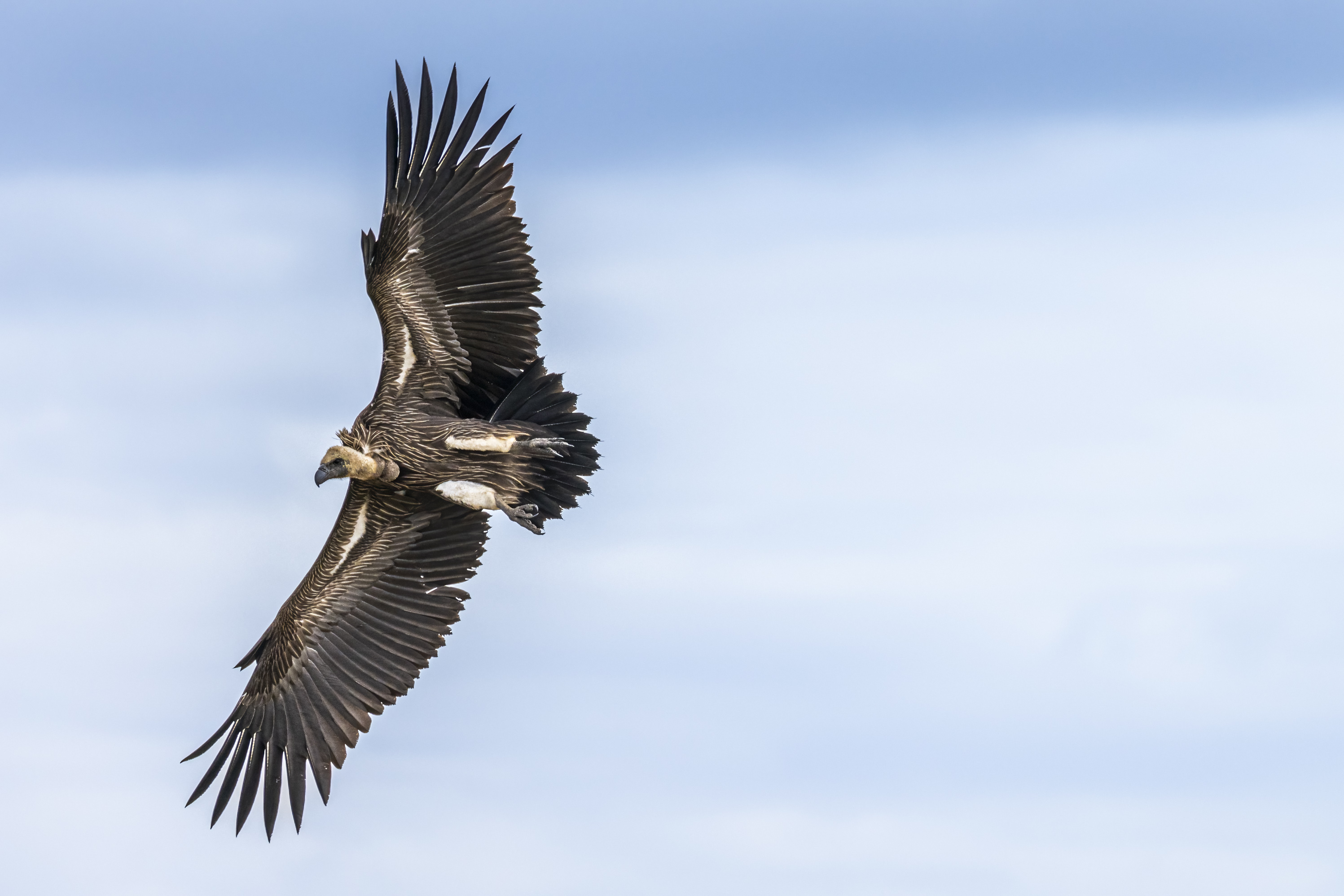 November 12, 2022-123233-2-Edit.jpg